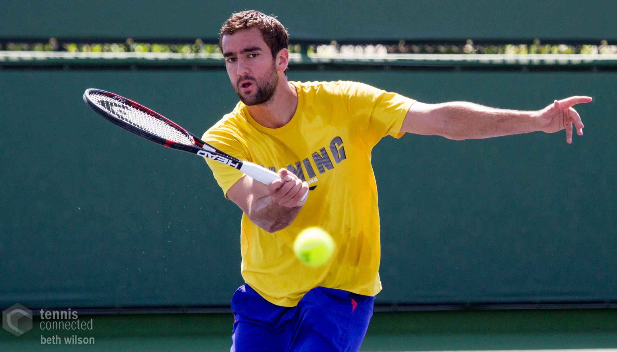 Marin Cilic