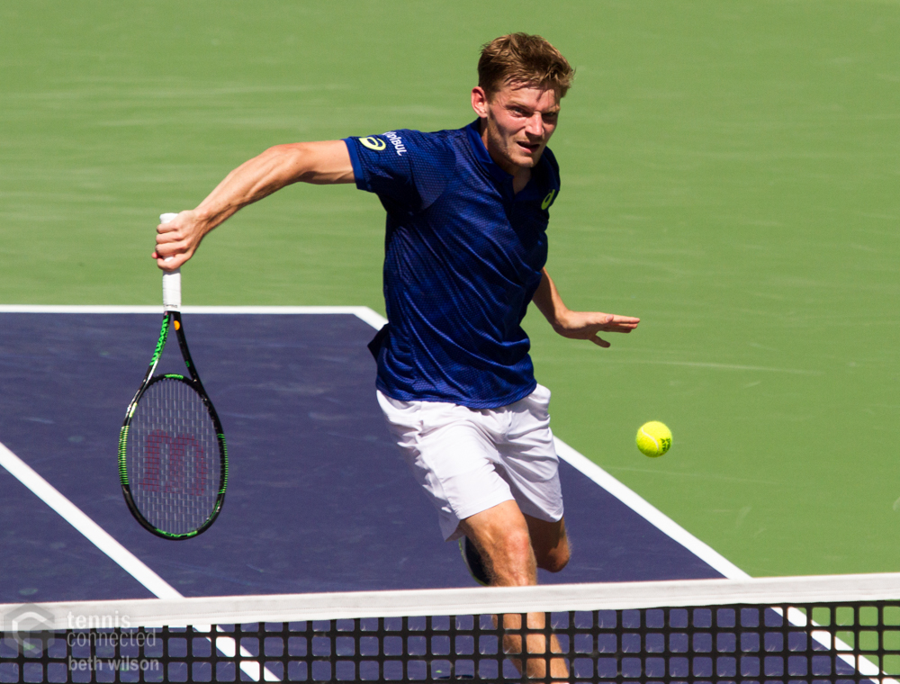 Goffin Wins Shenzhen Title; Istomin Captures Chengdu Crown