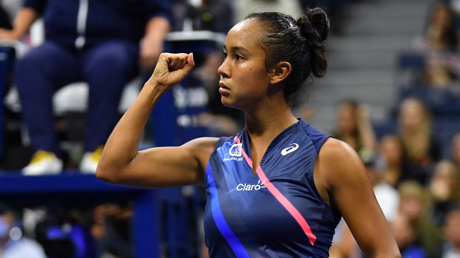 Medvedev, Fernandez Reach US Open Semifinals