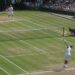 Wimbledon 2024 – All You Need to Know!