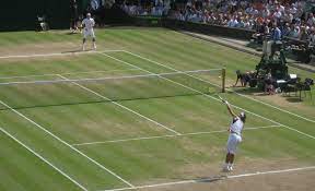 Wimbledon 2024 – All You Need to Know! 