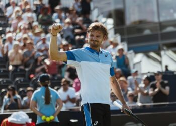 Goffin ATP Tour