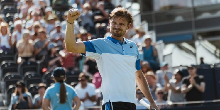 Goffin ATP Tour