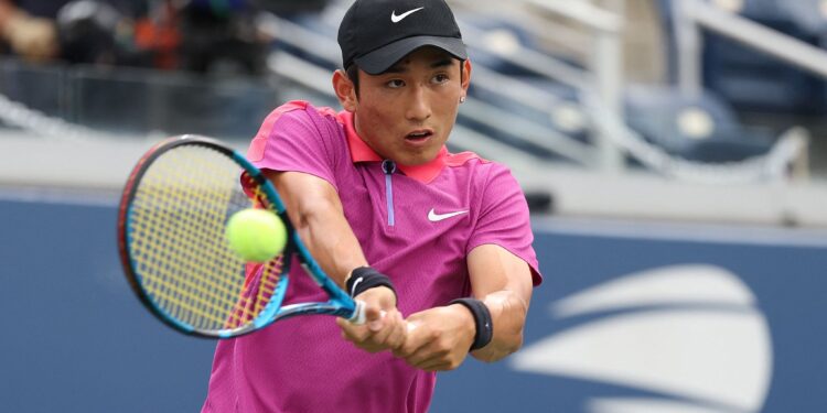 Shang, ATP Tour